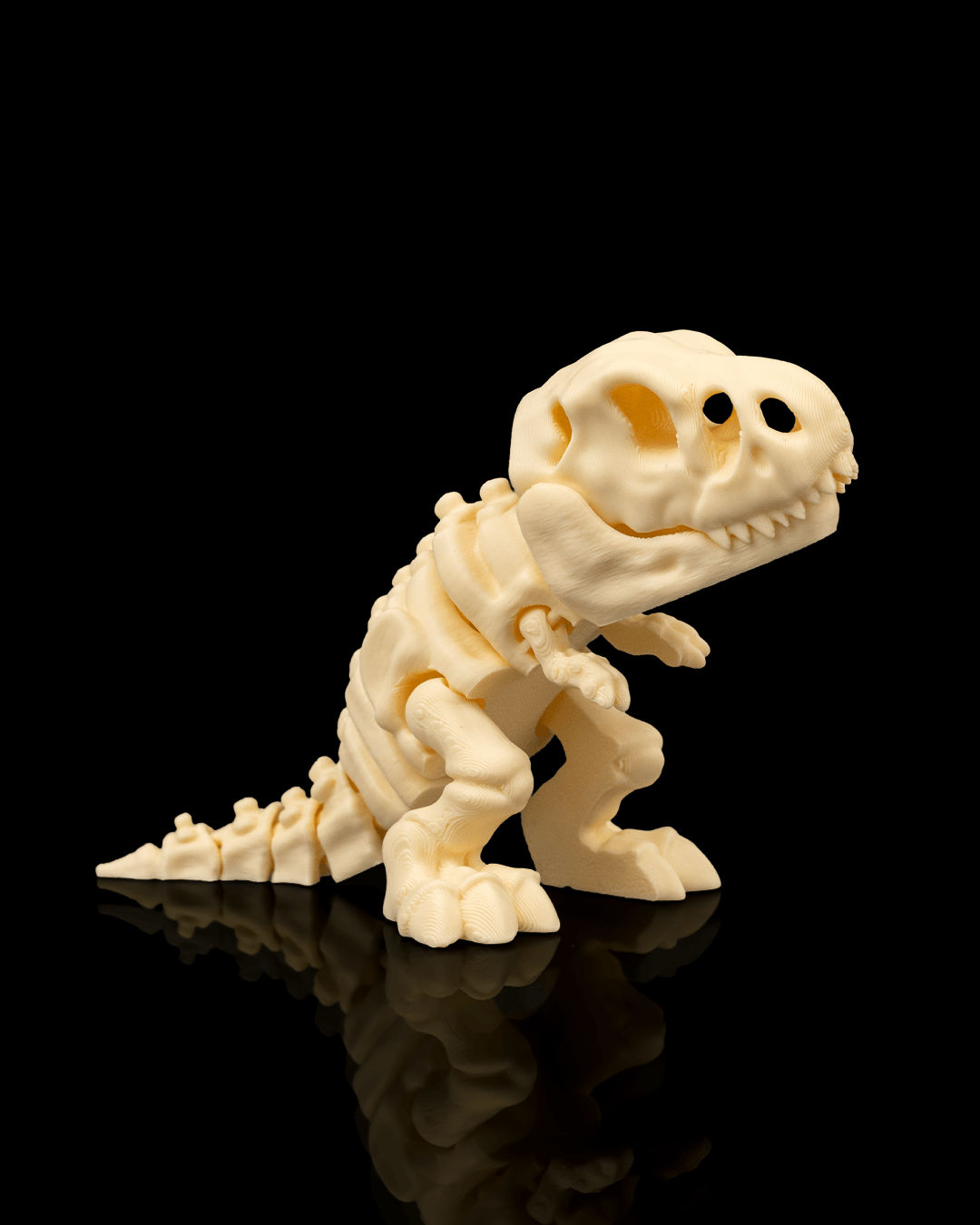 T-rex skelet flexi