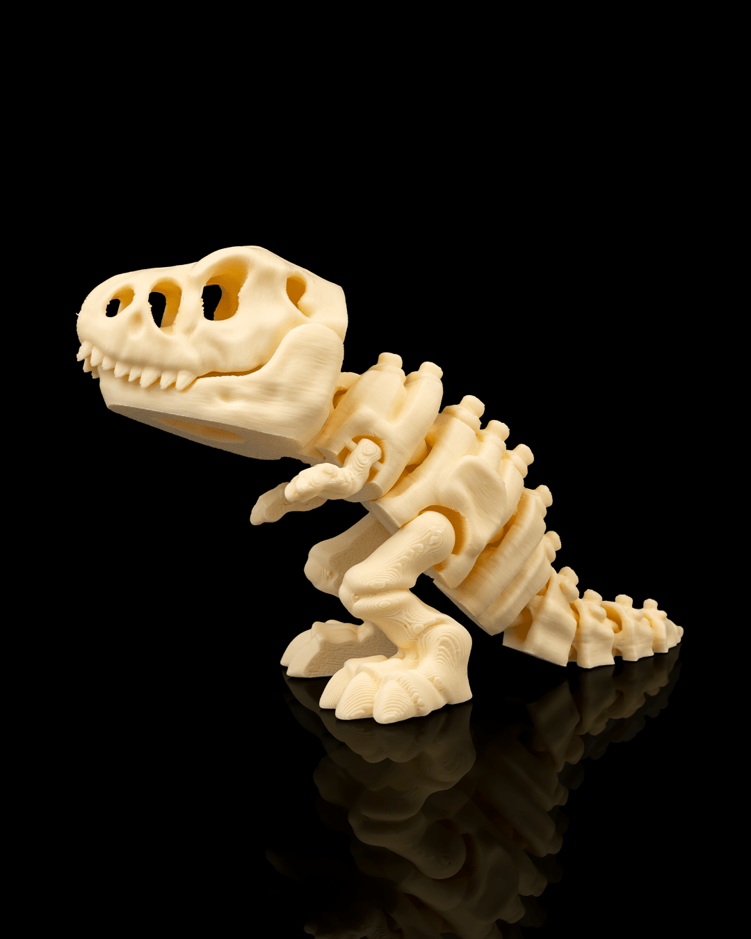 T-rex skelet flexi