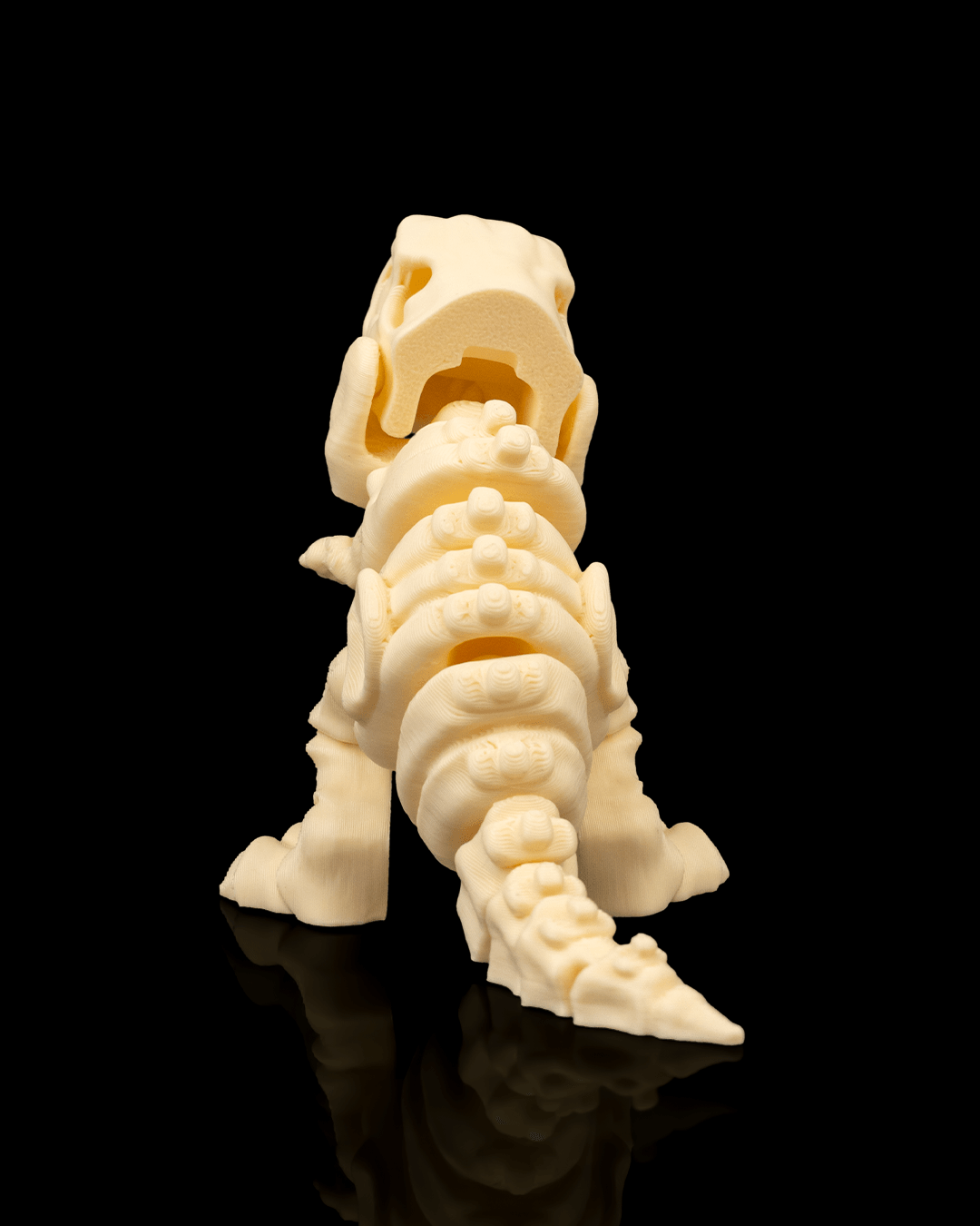 T-rex skelet flexi