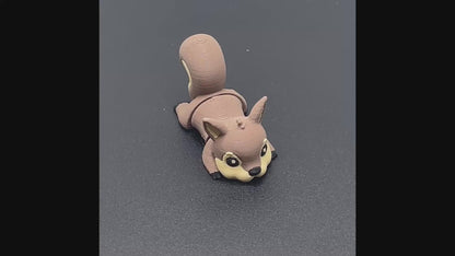 Zookis eekhoorn
