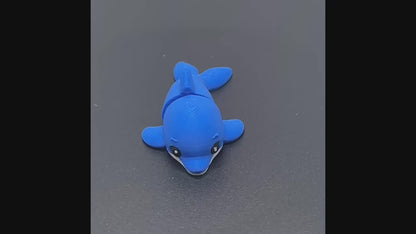 Zookis dolfijn