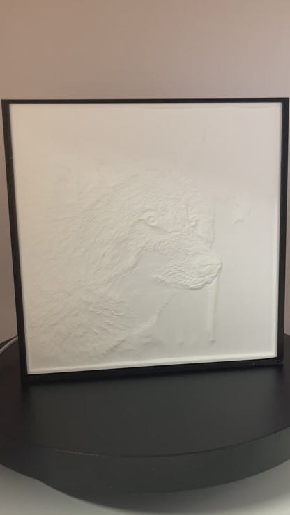 Verlichte 3D lithofaan foto wolf