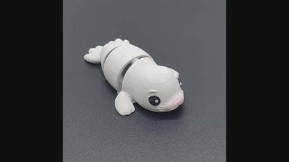 Zookis zeehond