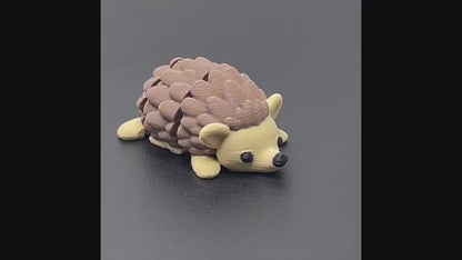 Zookis egel