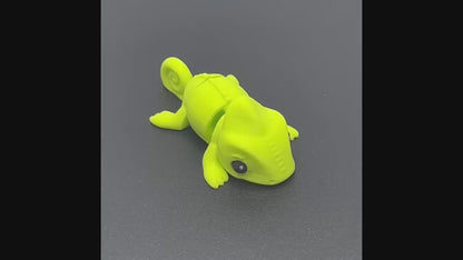 Zookis kameleon