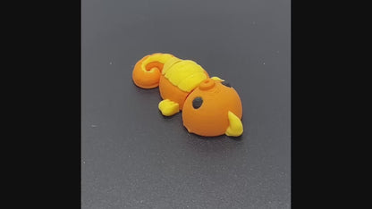 Zookis zeepaard