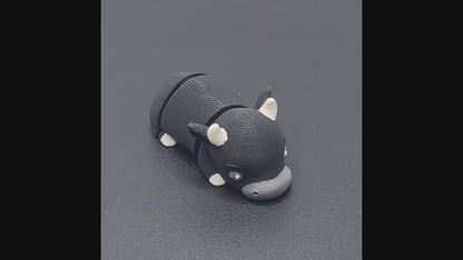 Zookis stier