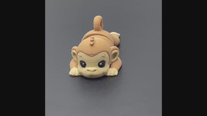 Zookis aap