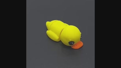 Zookis eend
